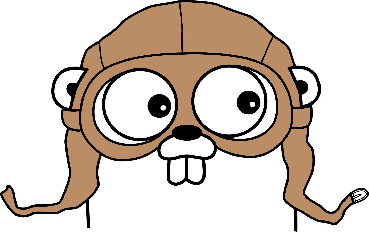 My Journey Learning The Go Programming Language